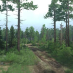 Forest Map v1.0