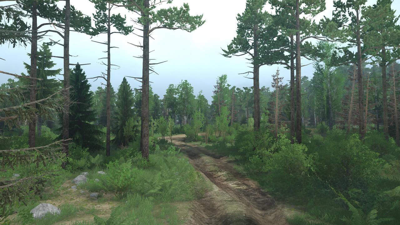 Forest Map v1.0