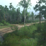 Forest Map v1.0