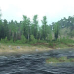 Forest Map v1.0